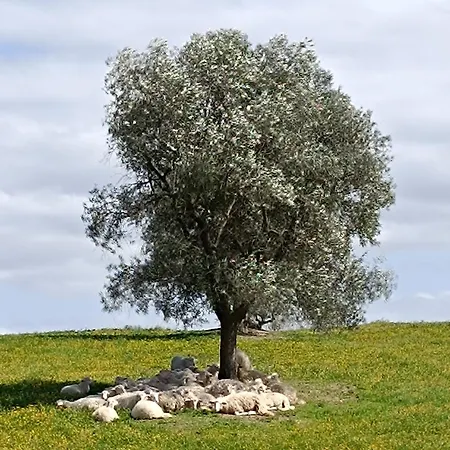 B & V E Restaurant ゲストハウス 3*